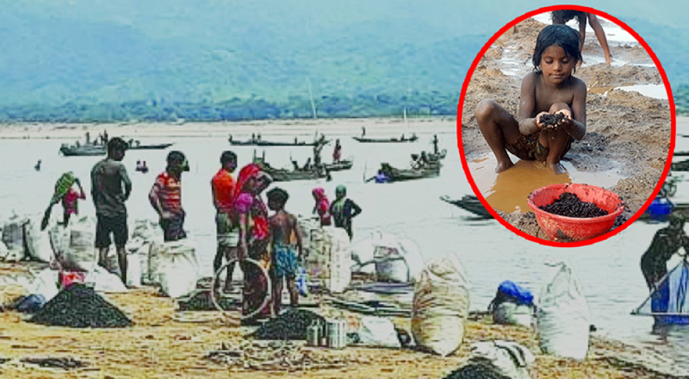 ঢল নামলেই শুরু হয় কয়লা কুড়ানোর উৎসব...