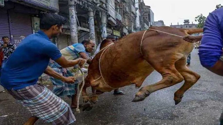পবিত্র ঈদুল আজহায় সিলেটে উৎসবমুখর পরিবেশ