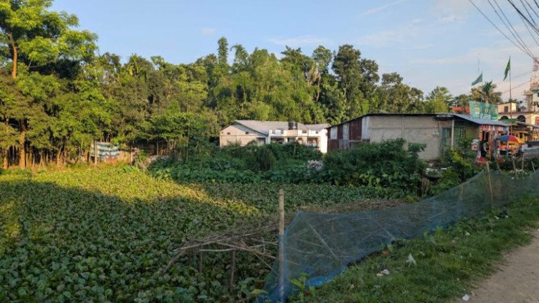 বিয়ানীবাজারে অবাধ ভরাটে বাড়ছে জলাবদ্ধতা,