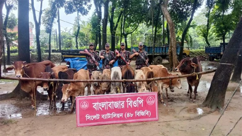 সিলেট সীমান্তে ১ কোটি ৮৬ লাখ টাকার ভারতী