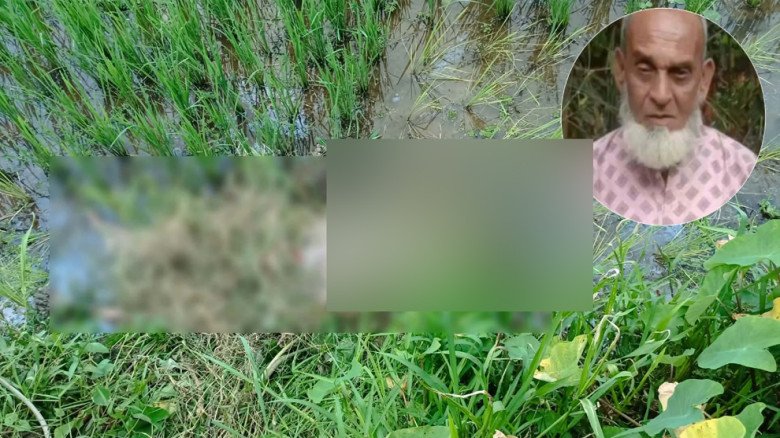 গোলাপগঞ্জে ঘাস দিয়ে ঢাকা ছিল আসিদ আলীর ল
