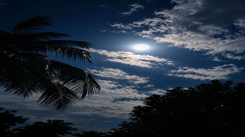 জোছনা রাতে এক মধ্যবিত্ত ছেলের কবিতা