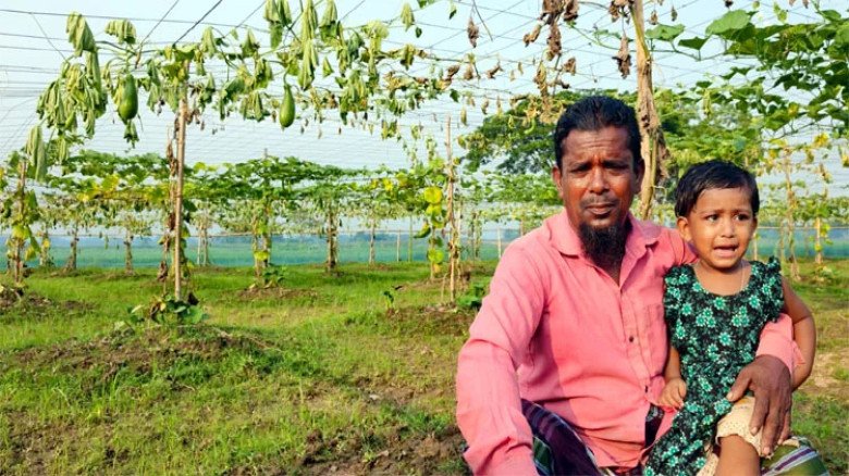 ঋণের টাকায় লাউ চাষ, এক রাতেই সর্বস্বান্ত