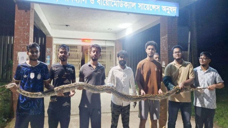 রাস্তা পারের চেষ্টায় ছিল ১২ ফুট লম্বা অজগর, অবশেষে অবমুক্ত