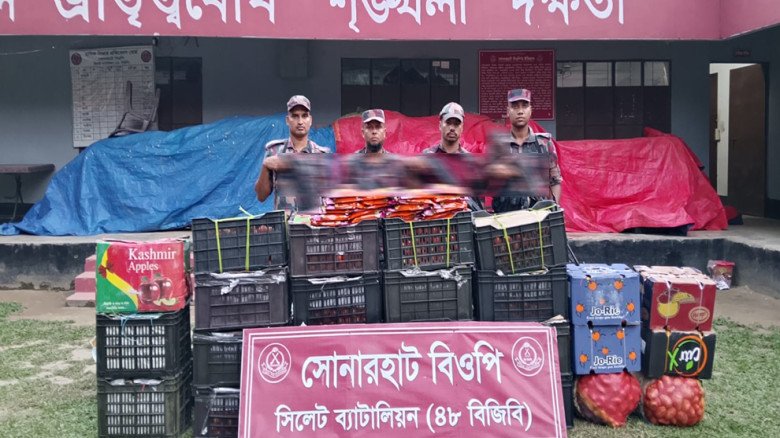 সিলেট সীমান্তে শিং মাছসহ জব্দ বিপুল পরিম