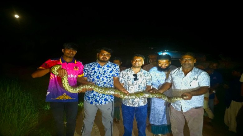 শ্রীমঙ্গল থেকে অজগর ও শঙ্খিনী সাপ উদ্ধার