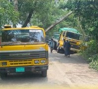 সড়কে ঝড়ে পড়া গাছের কারণে নিয়ন্ত্রণ হারায় ট্রাক, বি...