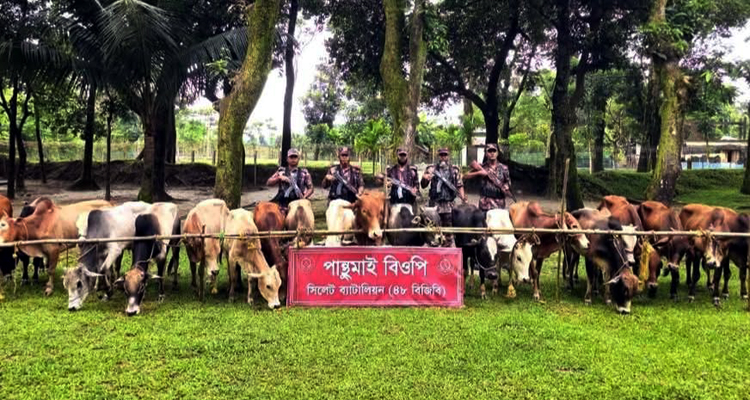 সিলেটে ১ কোটি টাকার ভারতীয় পণ্য জব্দ