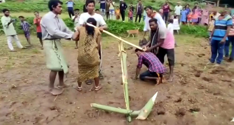 প্রেম করে বিয়ের শাস্তি, নবদম্পতিকে জোয়ালে বেঁধে হা...