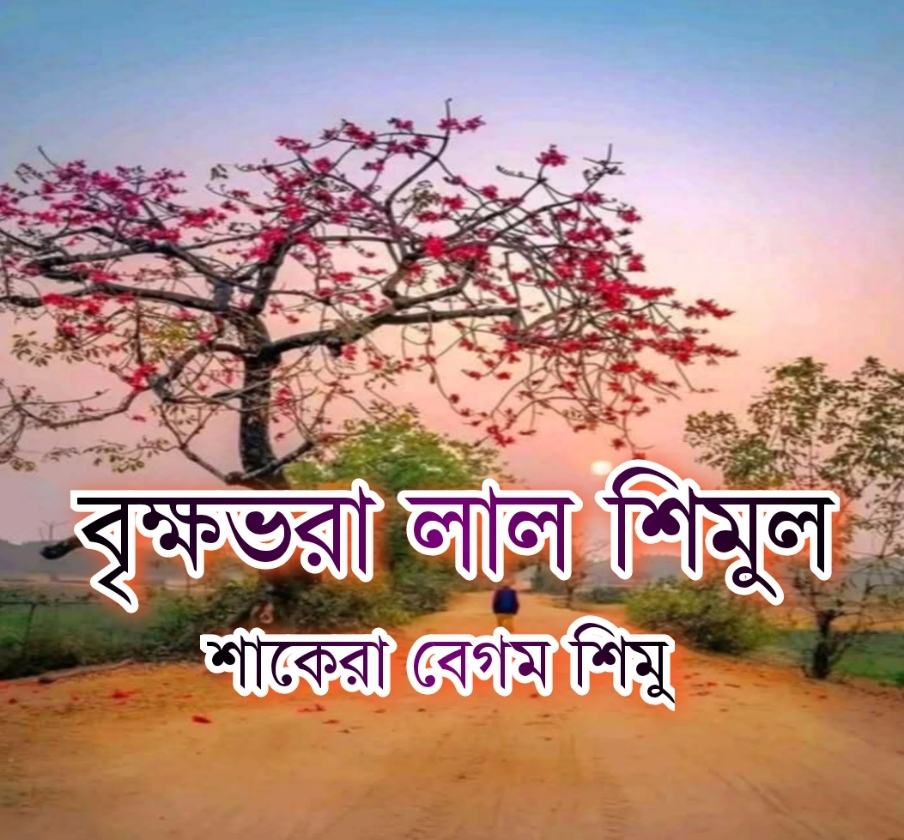 বৃক্ষভরা লাল শিমুল