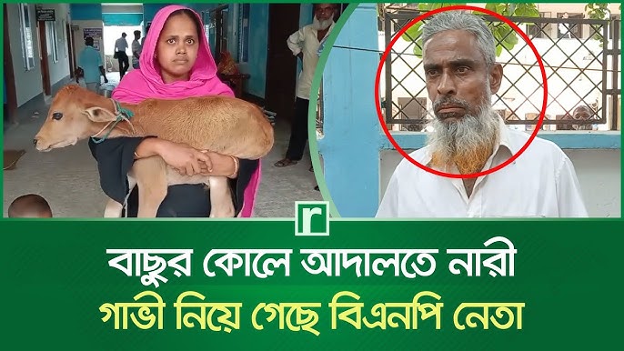 গরু নিয়ে গেছেন বিএনপি নেতা...